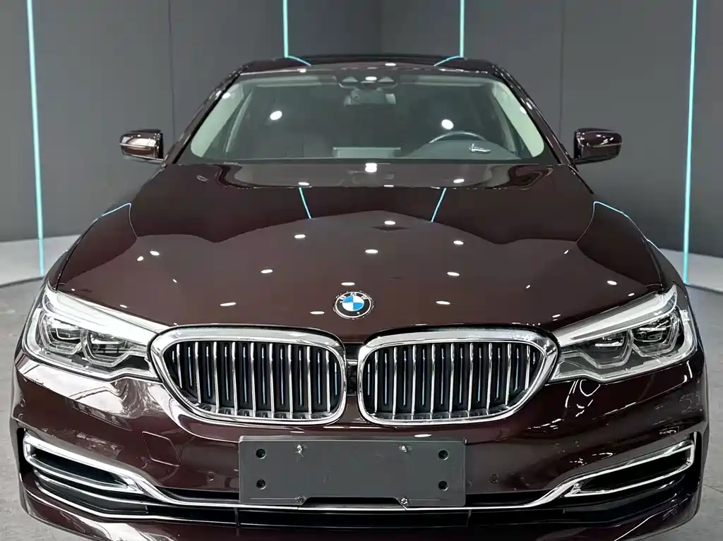 BMW 5 Series New Energy — миниатюра 2