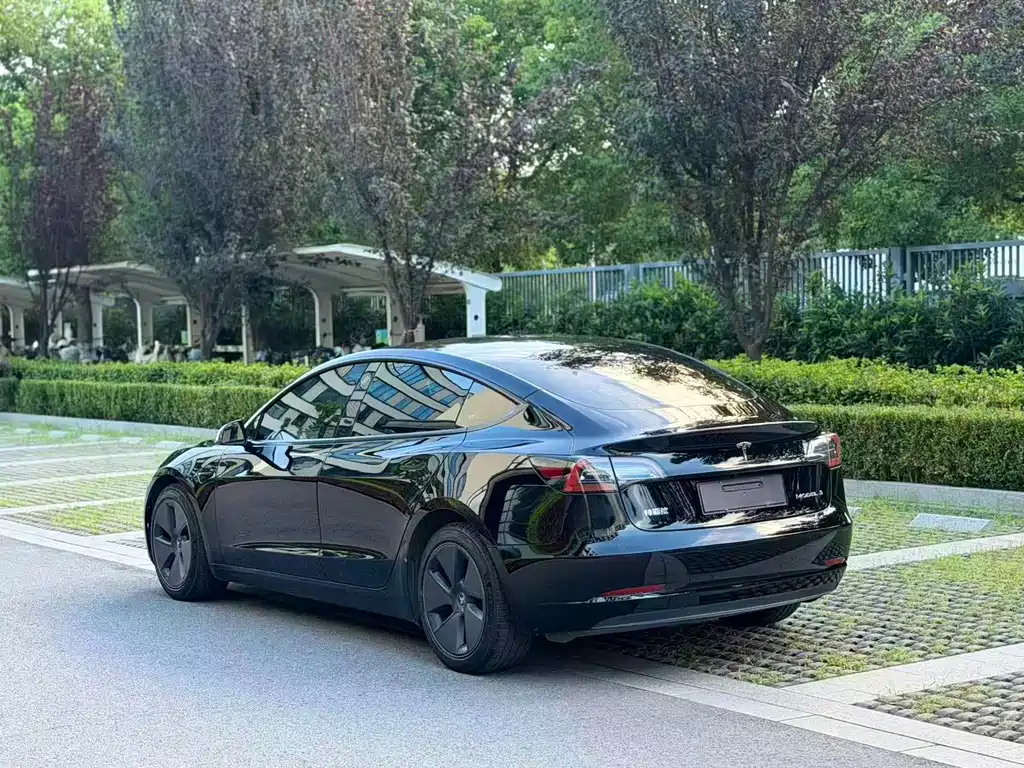 Tesla Model 3 — миниатюра 6
