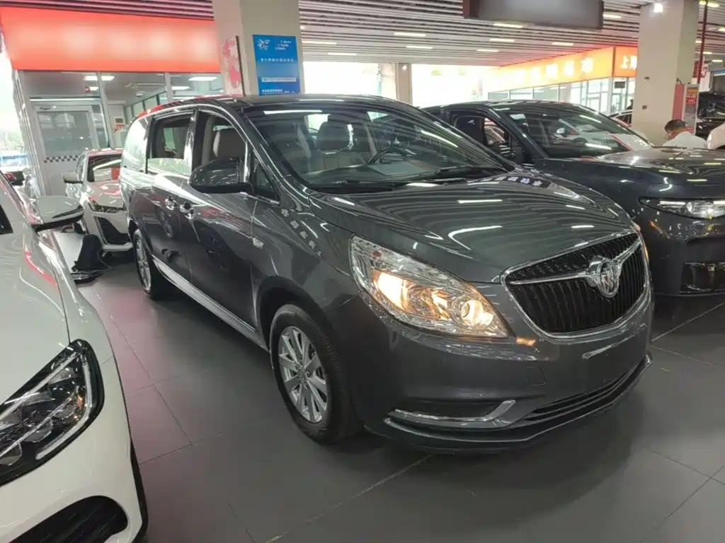 Buick GL8 — миниатюра 4