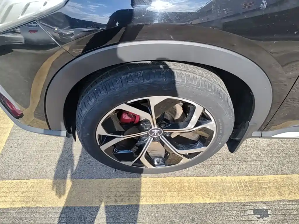 BYD PLUS — миниатюра 23