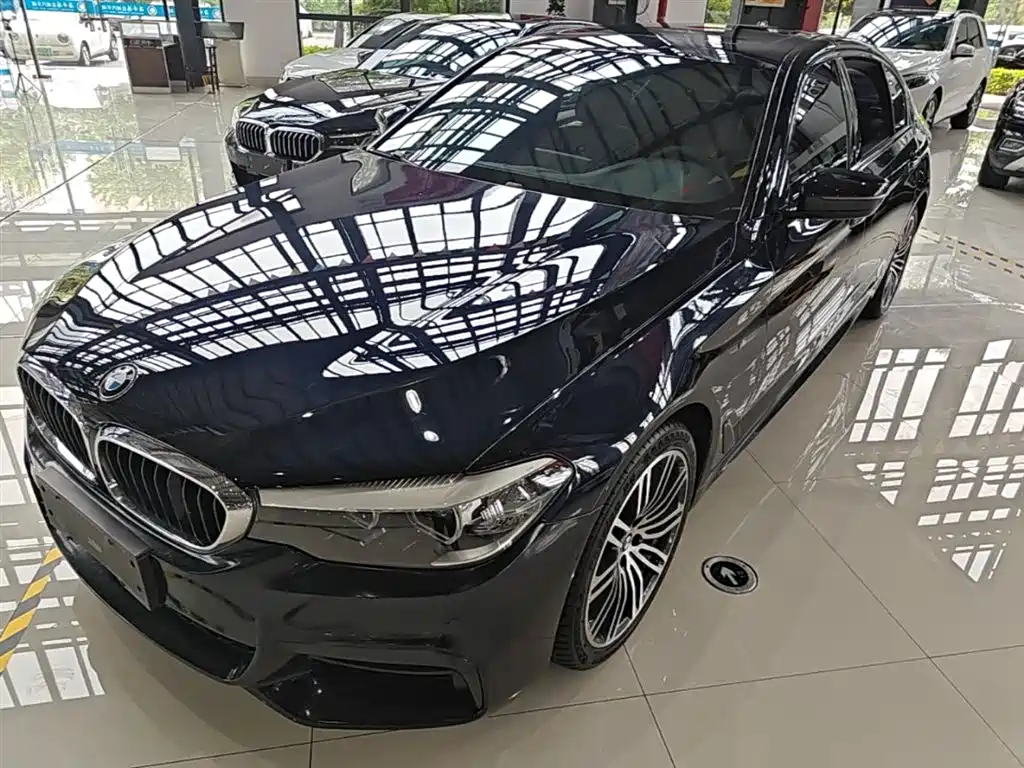 BMW 5 Series 5 2018 530Li xDrive M Sport
