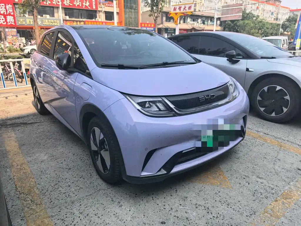 BYD Dolphin — миниатюра 3