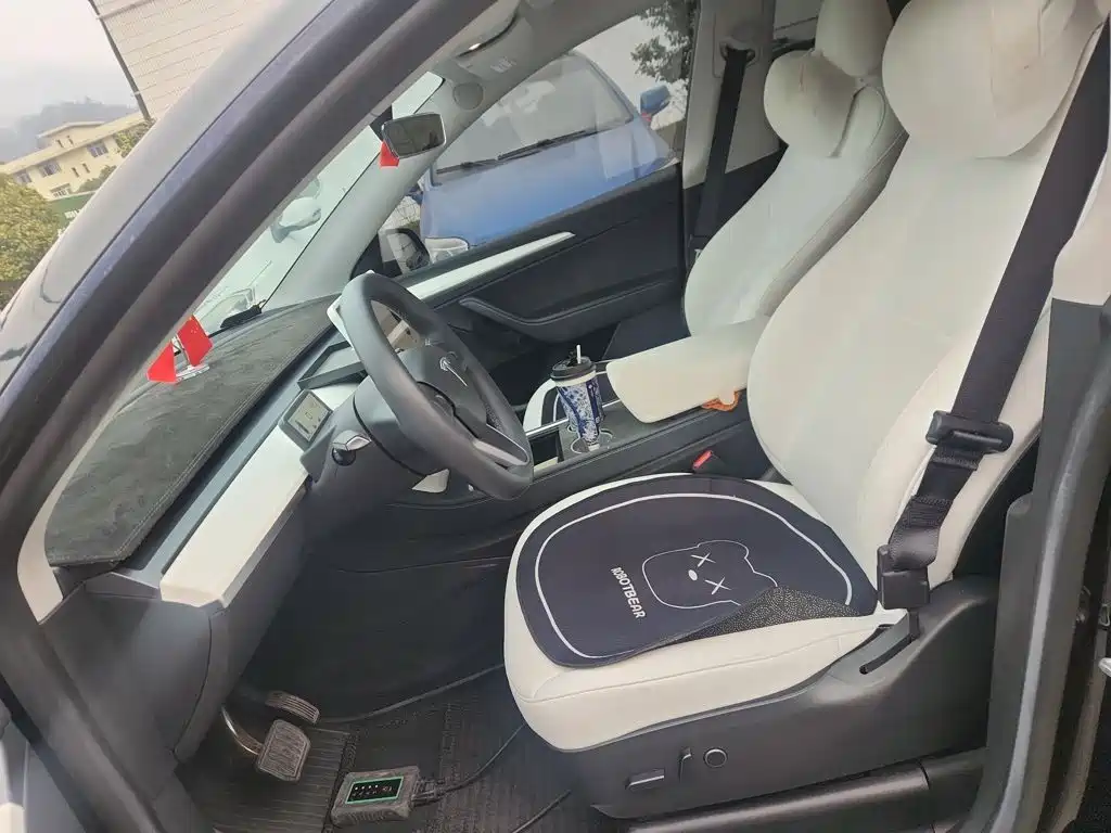 Tesla Model Y — миниатюра 11