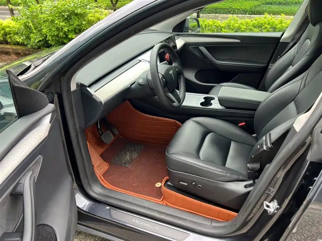 Tesla Model Y — миниатюра 4