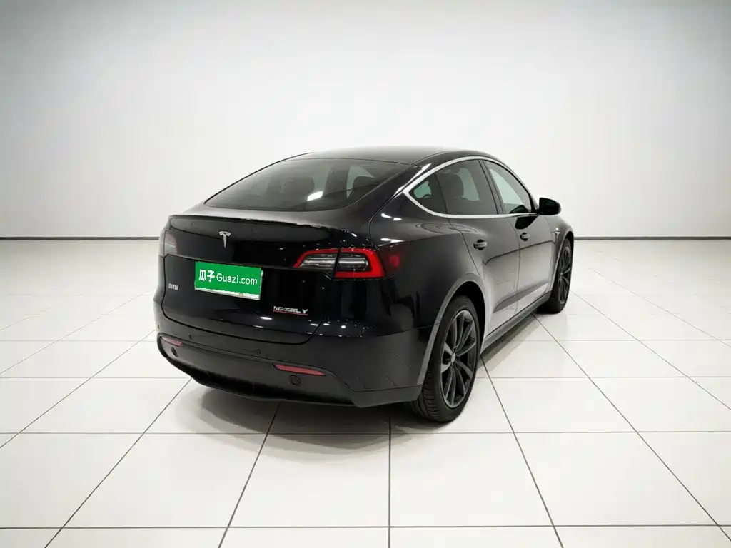 Tesla Model Y — миниатюра 5