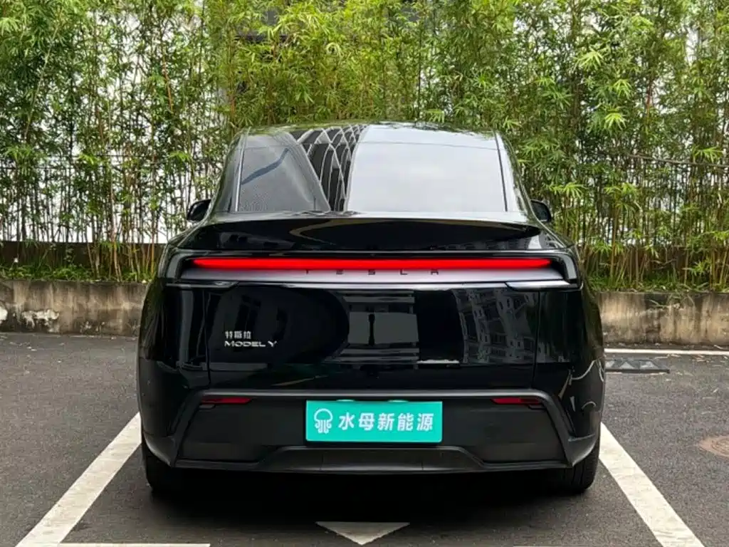 Tesla Model Y — миниатюра 7
