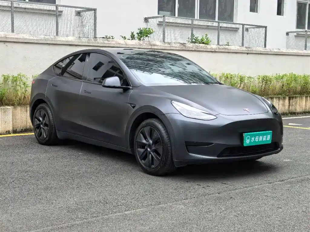 Tesla Model Y — миниатюра 11