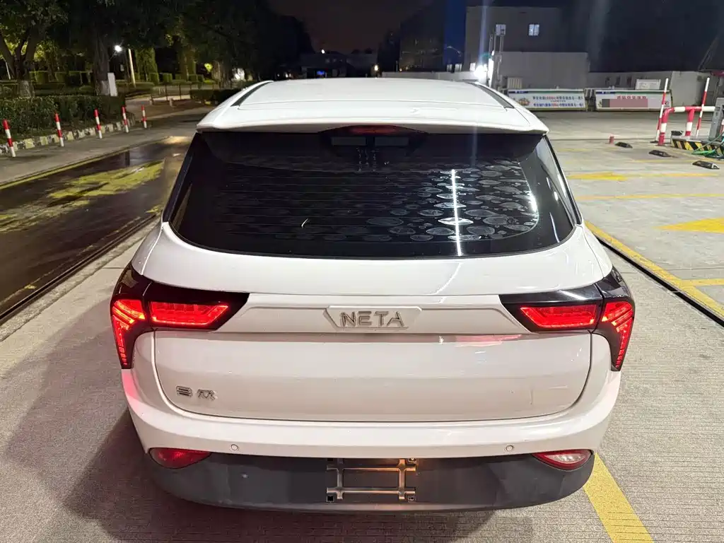 Neta Neta V — миниатюра 5
