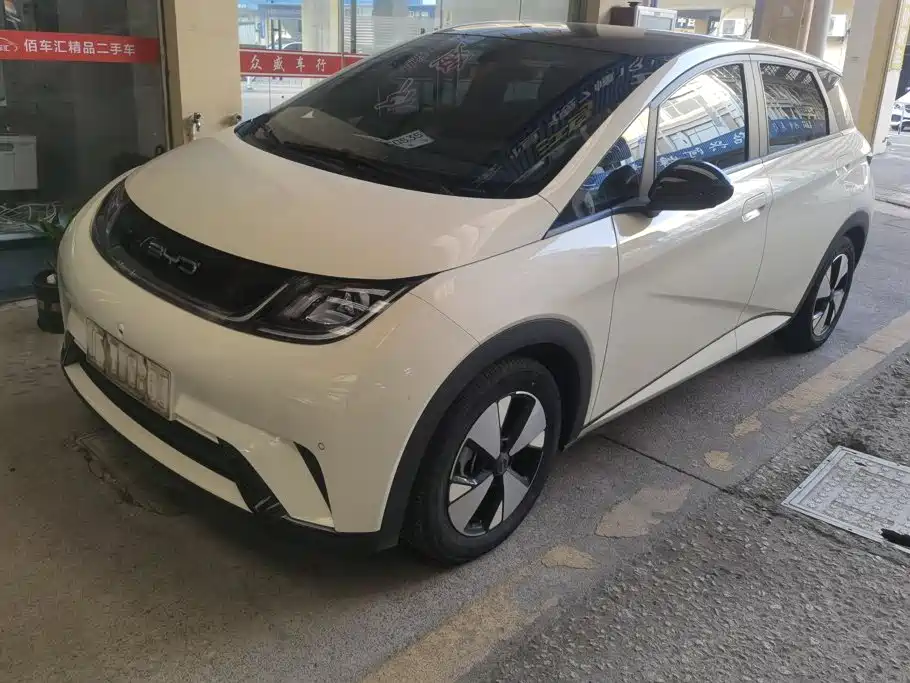 BYD Dolphin