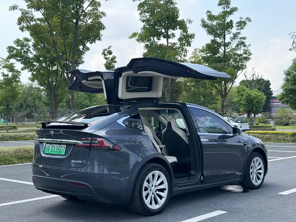 Tesla Model X — миниатюра 6