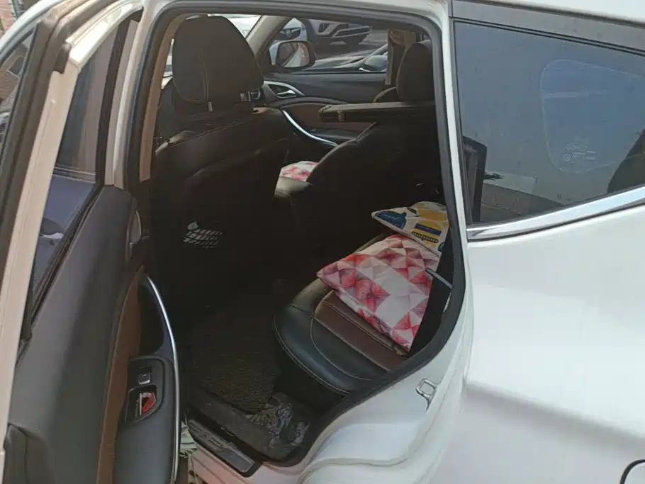 BYD Song — миниатюра 11