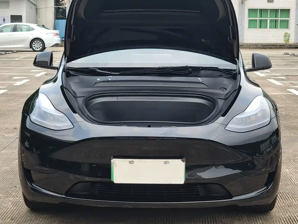Tesla Model Y — миниатюра 5