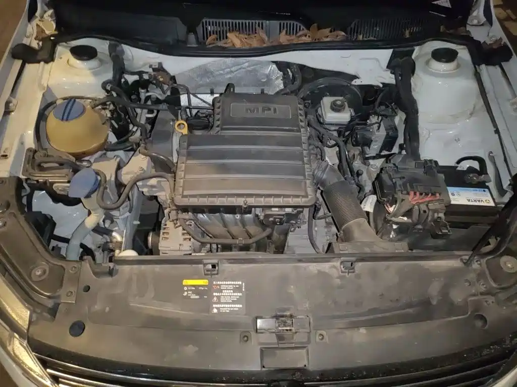 Volkswagen Gran Lavida — миниатюра 21