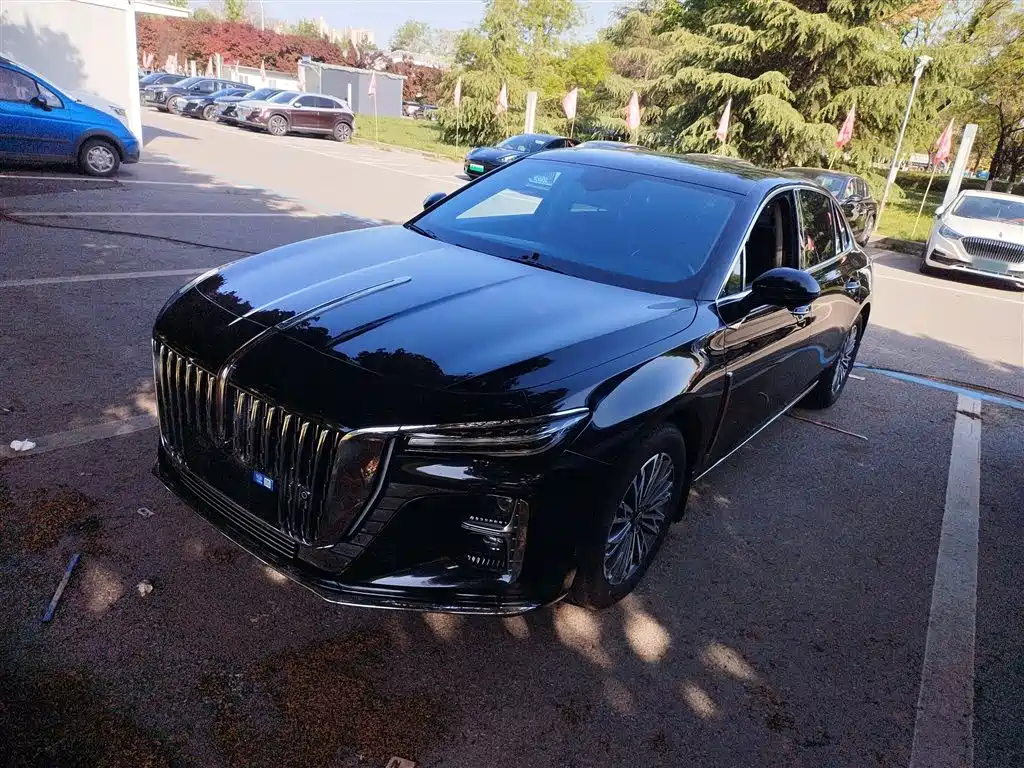 Hongqi Hongqi H5 2024