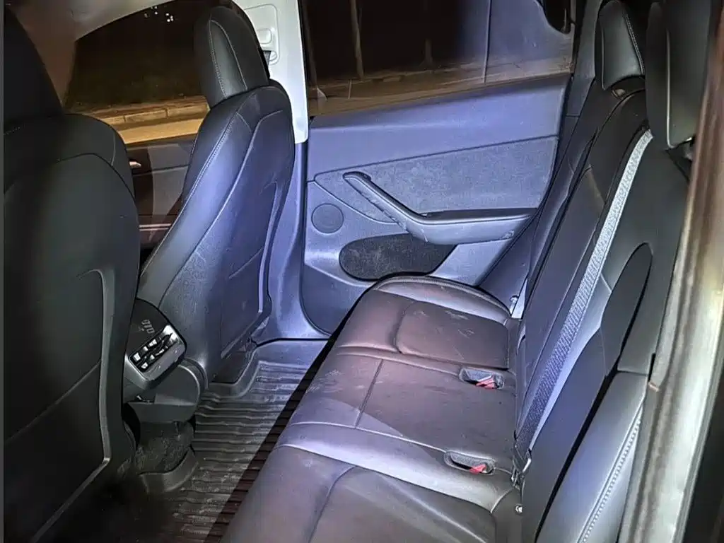 Tesla Model Y — миниатюра 15