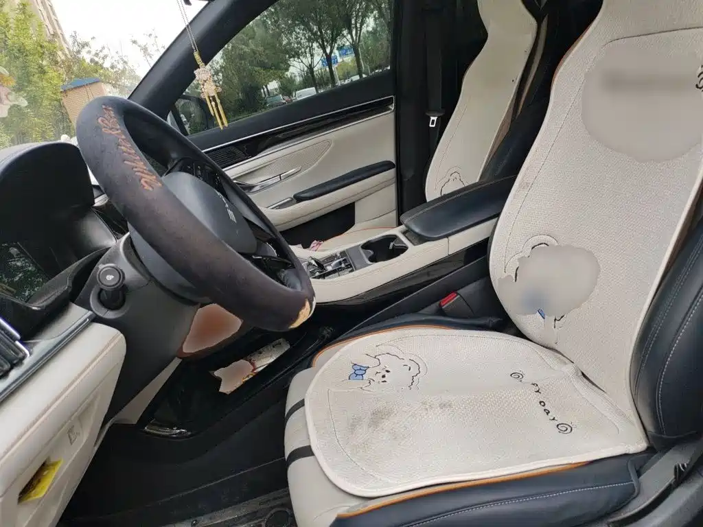 BYD PLUS New Energy — миниатюра 11