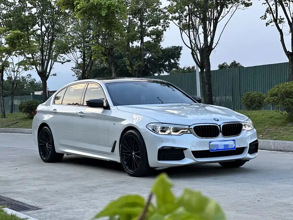 BMW 5 Series 5 2019 530Li Premium M Sport