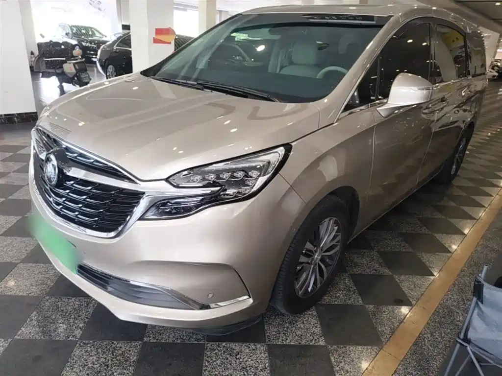 Buick GL8 2022 ES LandKing 653T Premium Type