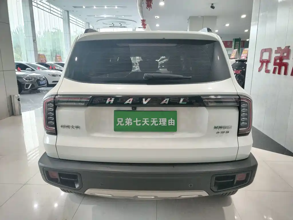 Haval Big Dog — миниатюра 9