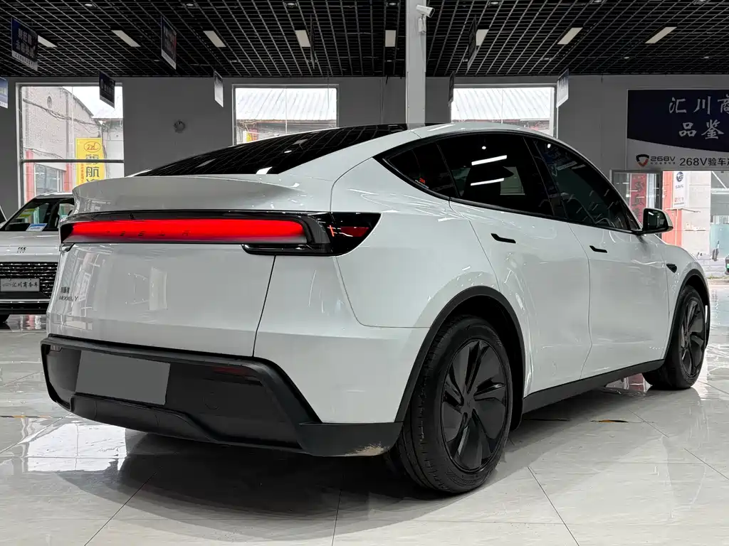 Tesla Model Y — миниатюра 4