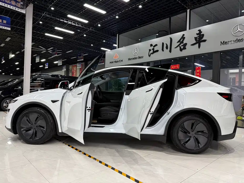 Tesla Model Y — миниатюра 11