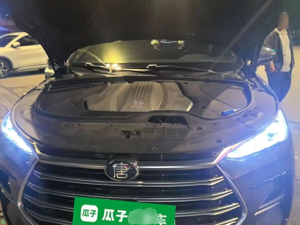 BYD Tang New Energy — миниатюра 21