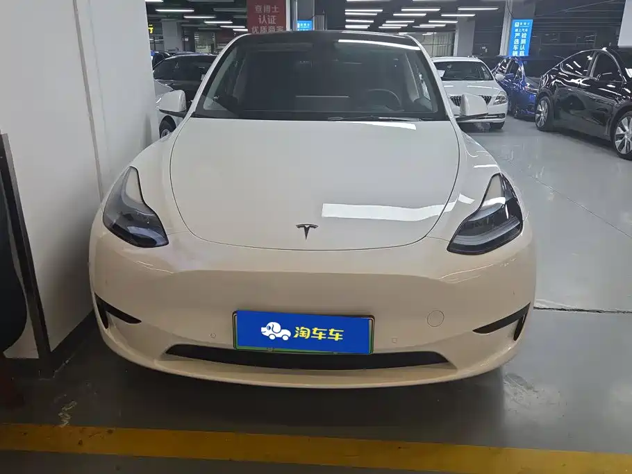 Tesla Model Y — миниатюра 2