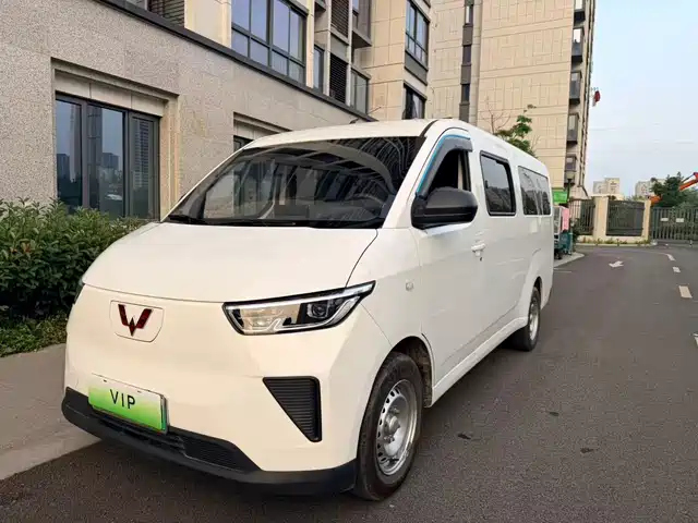 2024 Wuling Motors Yangguang