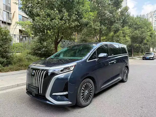 Denza D9