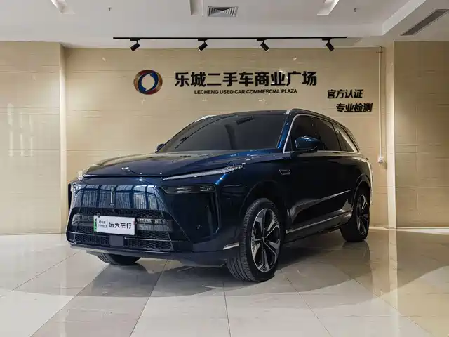 WEI PAI WEI BRAND BLUE MOUNTAIN 2024