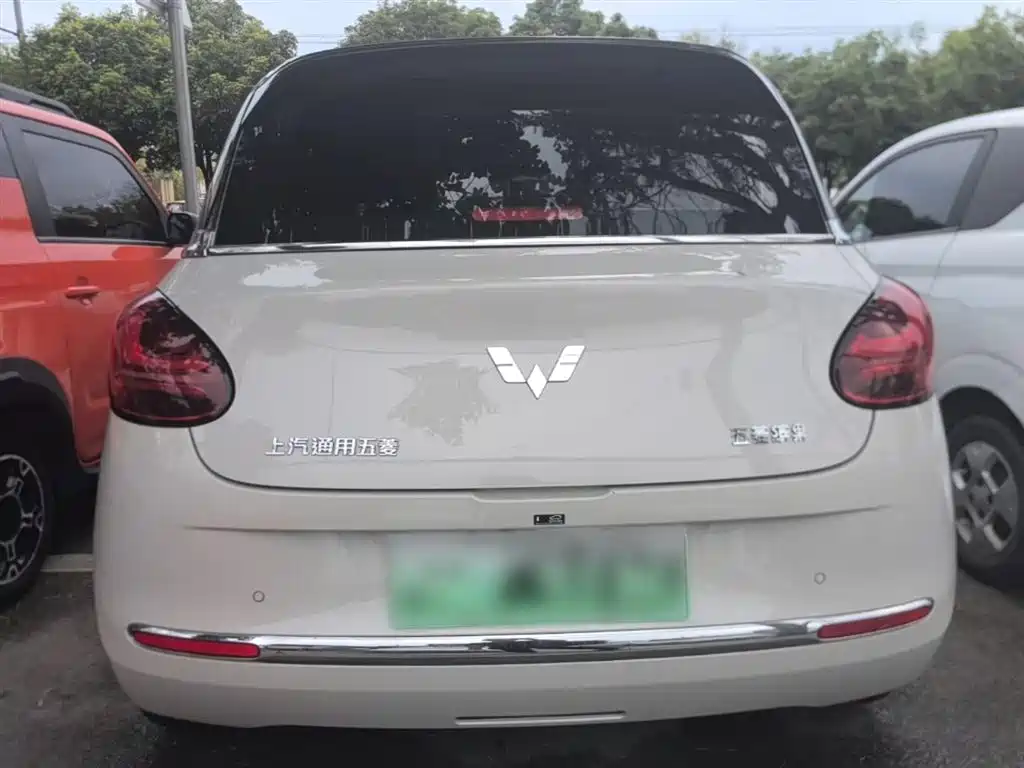 Wuling Binguo 2025 333km Enjoy