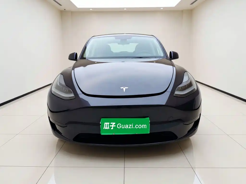 Tesla Model Y — миниатюра 2