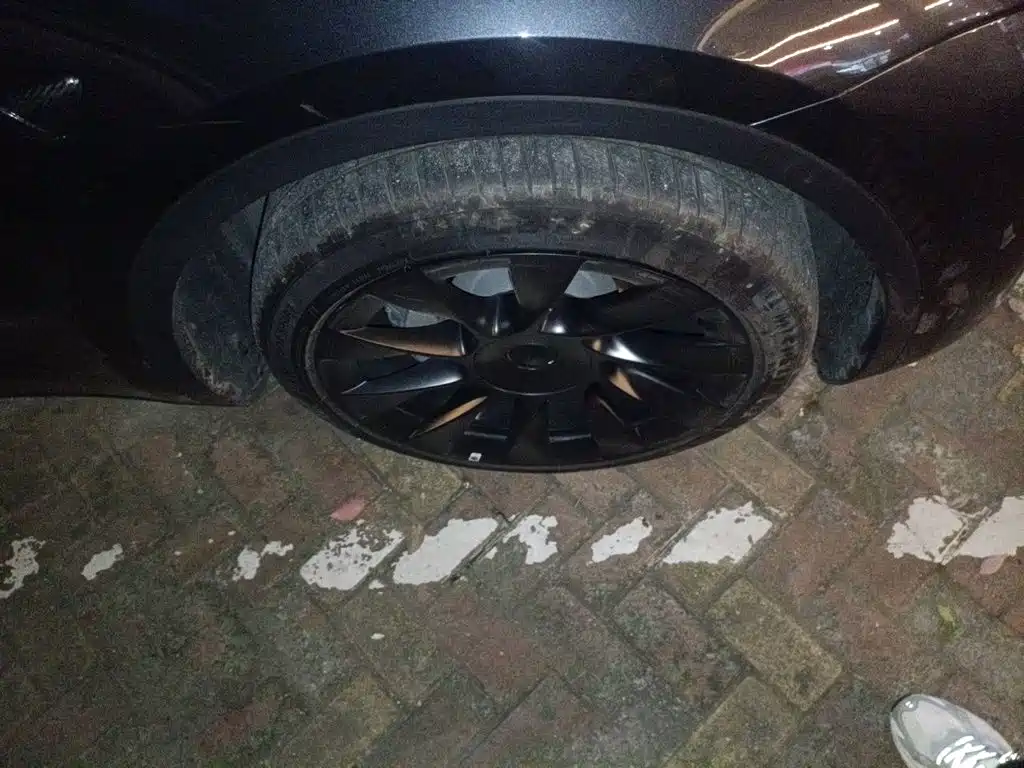 Tesla Model Y — миниатюра 26