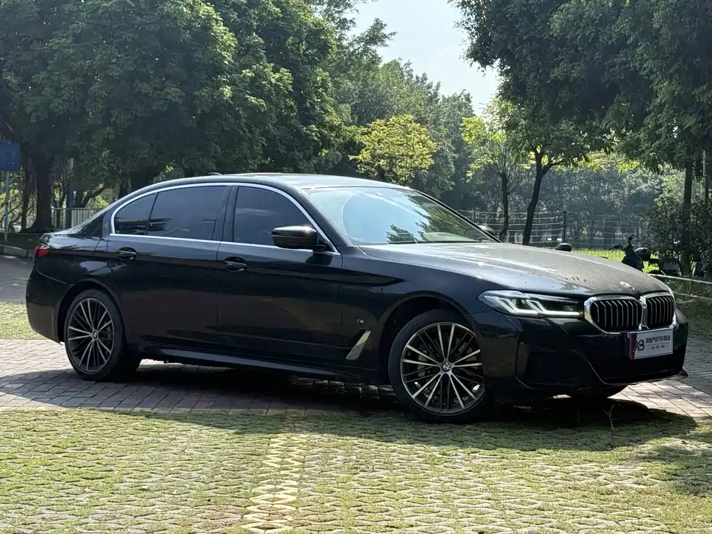BMW 5 Series — миниатюра 3