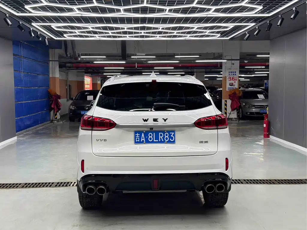 WEI PAI WEI BRAND VV6