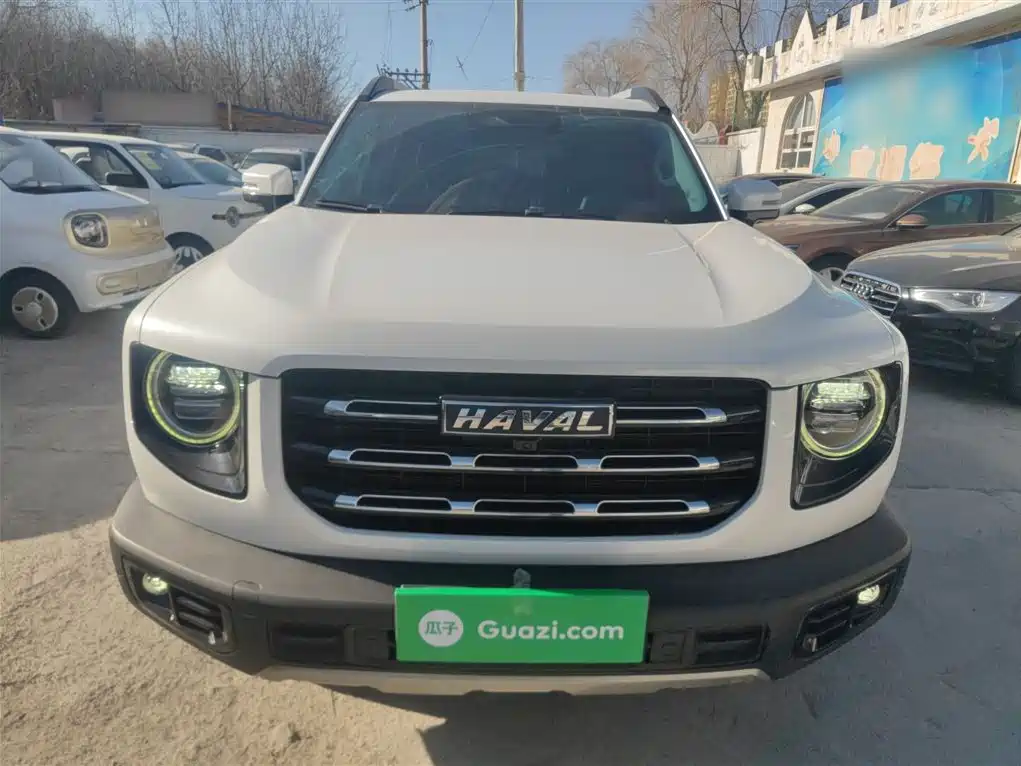 HAVAL BIG DOG