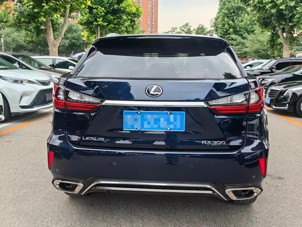 Lexus RX 2020 300 F SPORT VI