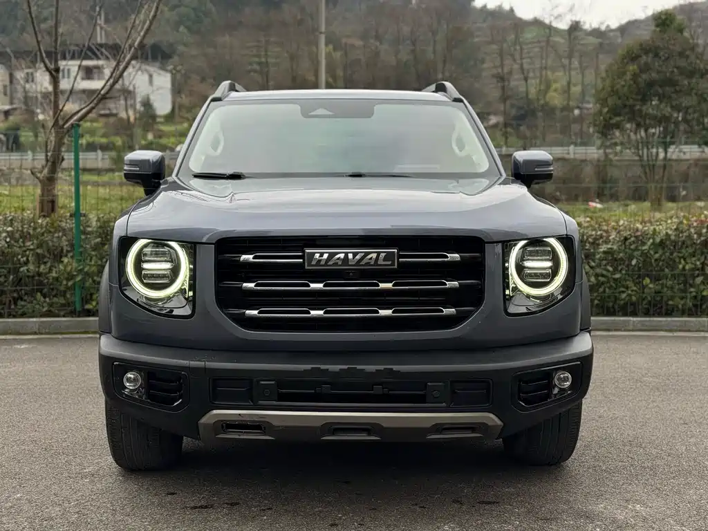HAVAL BIG DOG