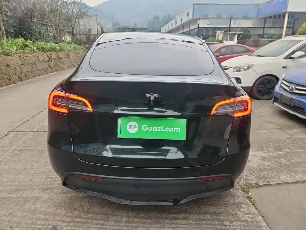 Tesla Model Y — миниатюра 4