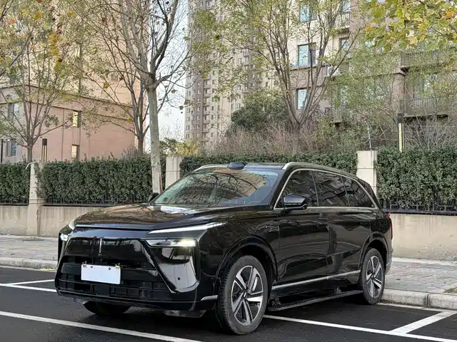 WEI PAI WEI BRAND BLUE MOUNTAIN 2024