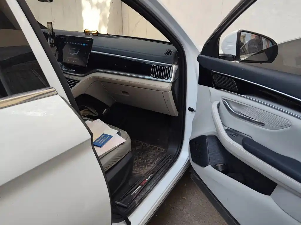 BYD PLUS New Energy — миниатюра 19