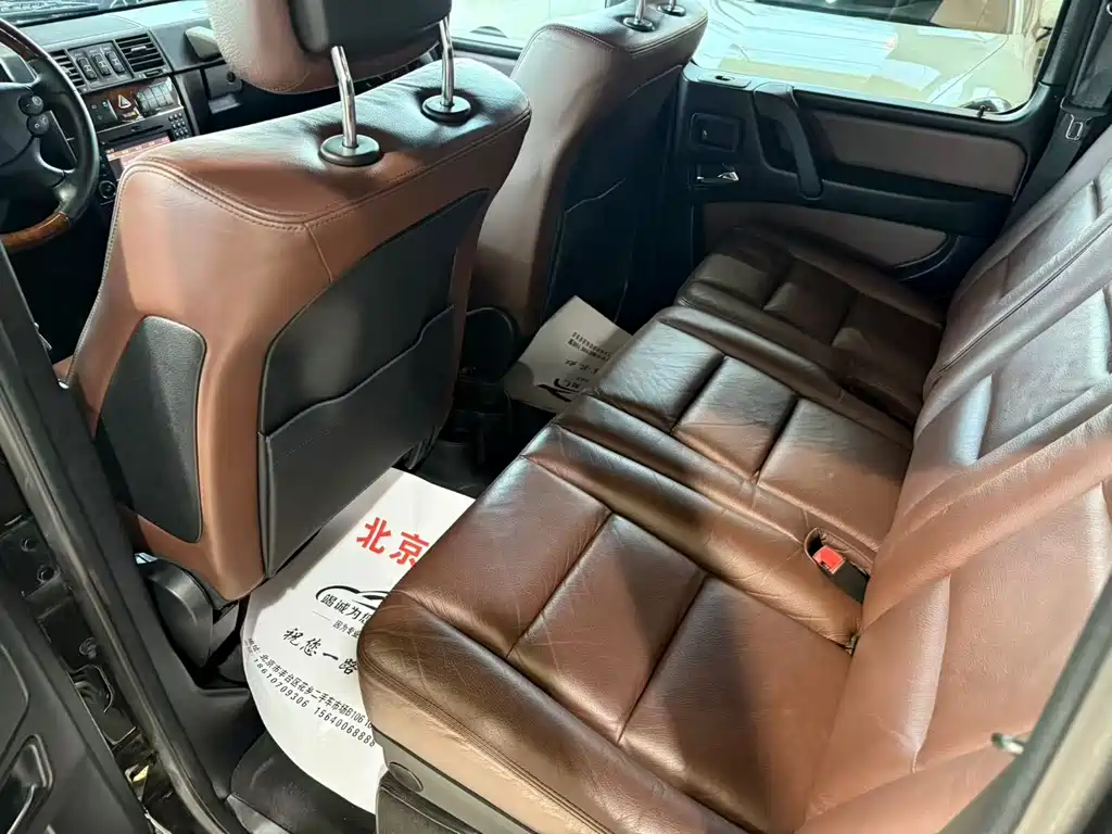 Mercedes-Benz G-Class G 2010 G 500