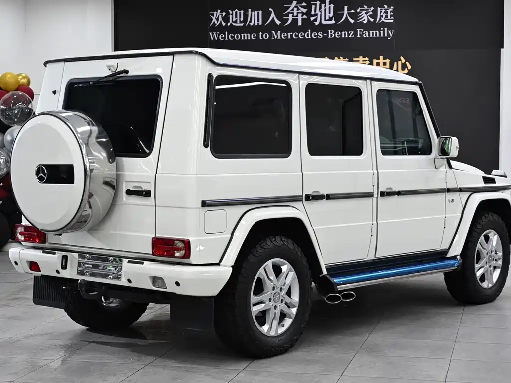 Mercedes-Benz G-Class G 2010 G 500