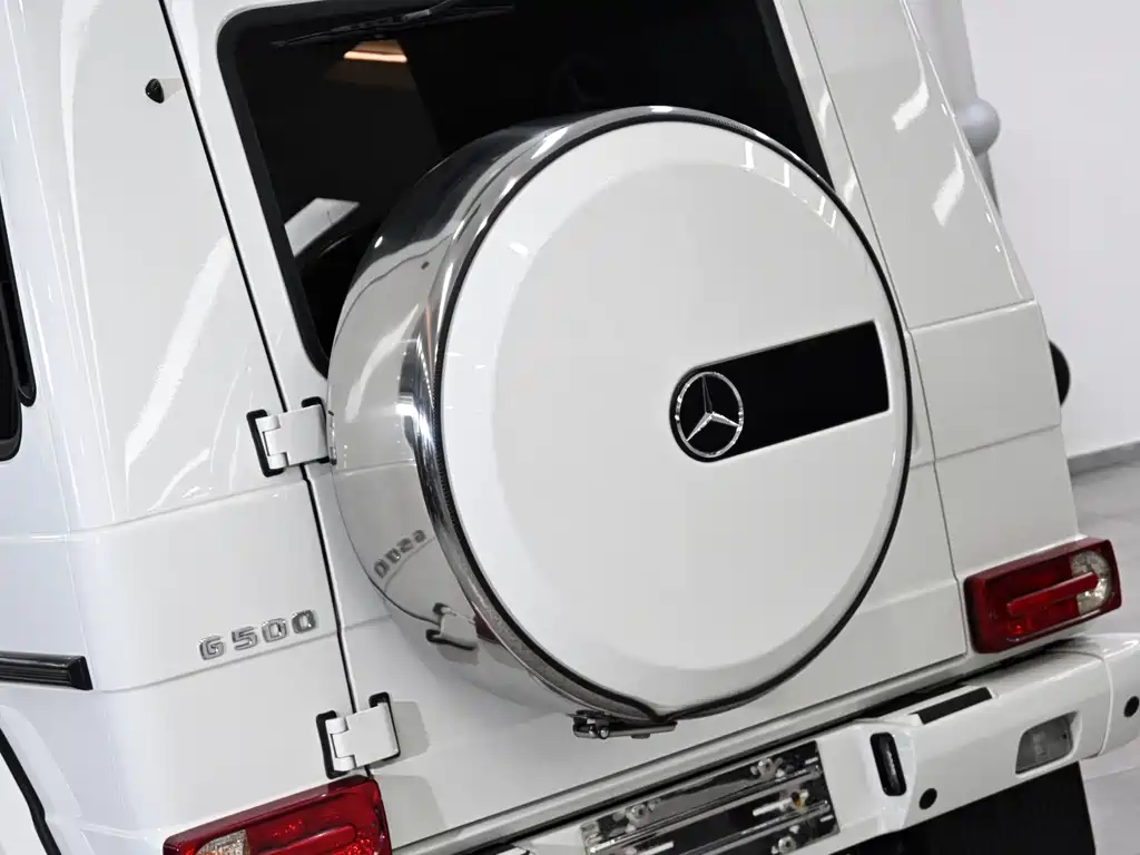 Mercedes-Benz G-Class G 2010 G 500