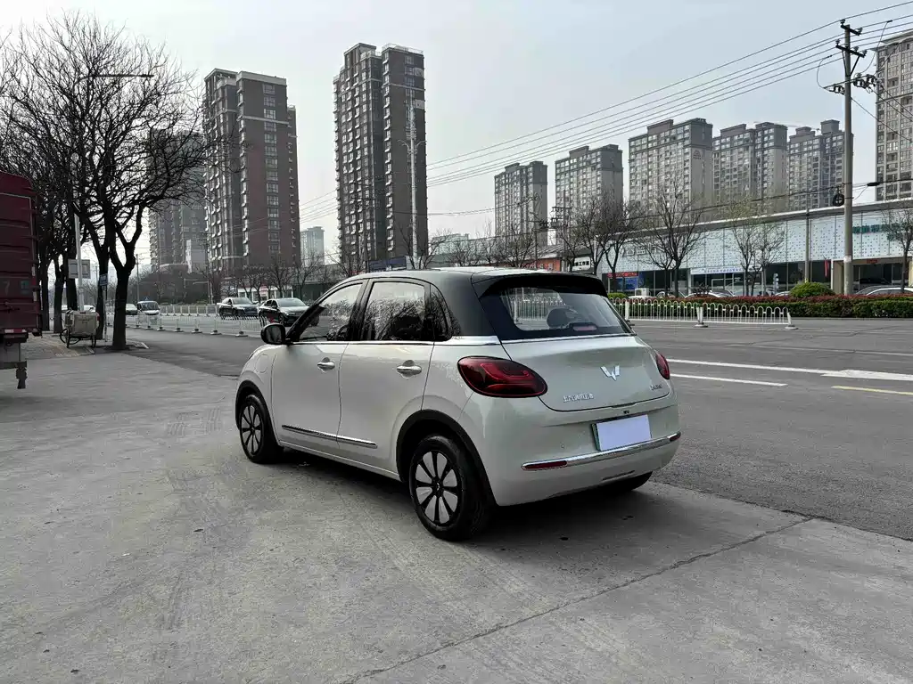 Wuling Binguo 2025 333km Enjoy