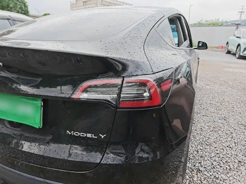 Tesla Model Y — миниатюра 8