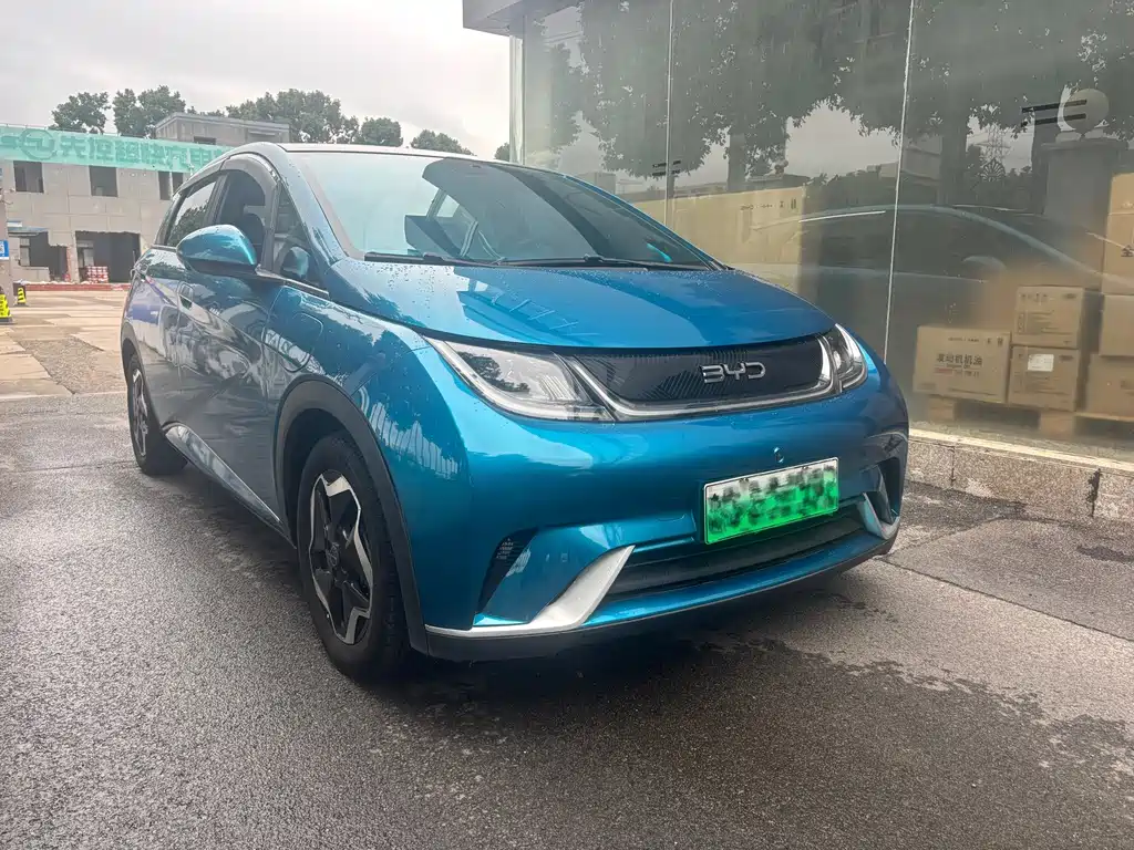 BYD Dolphin — миниатюра 3