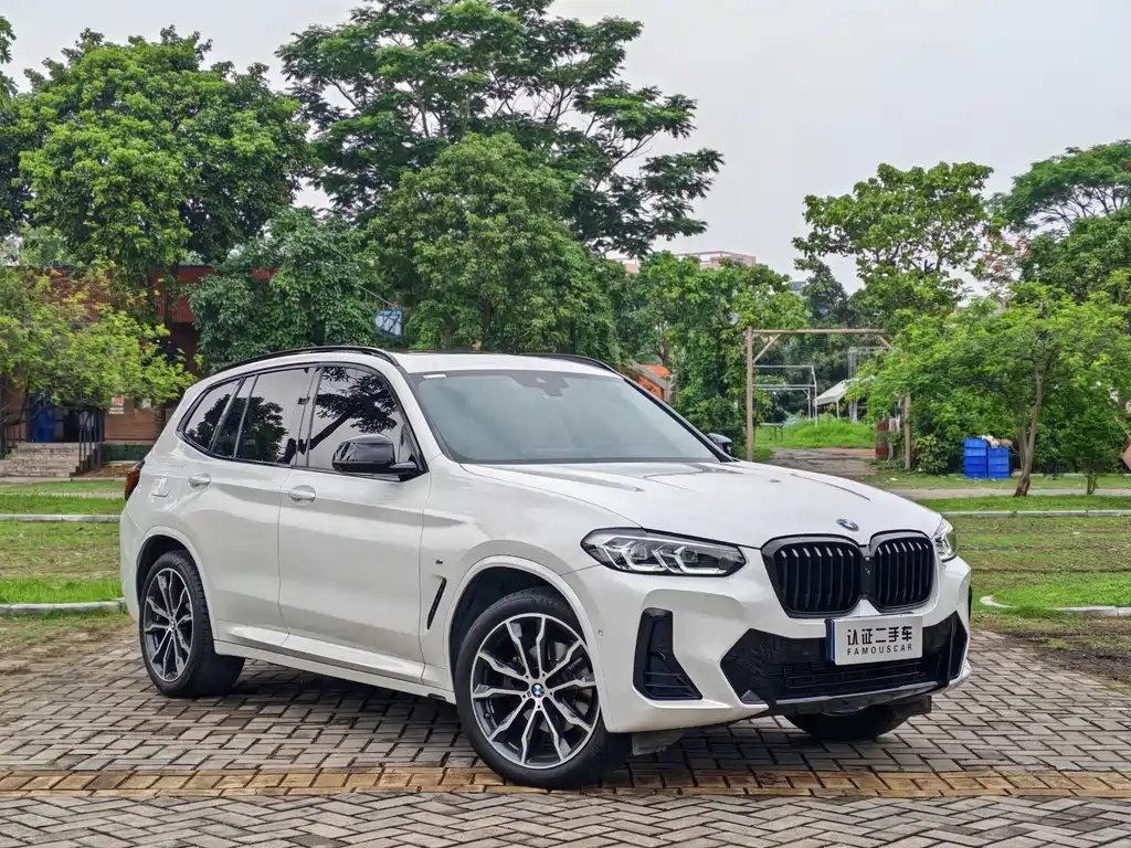BMW X3 2023 xDrive30i Lead M