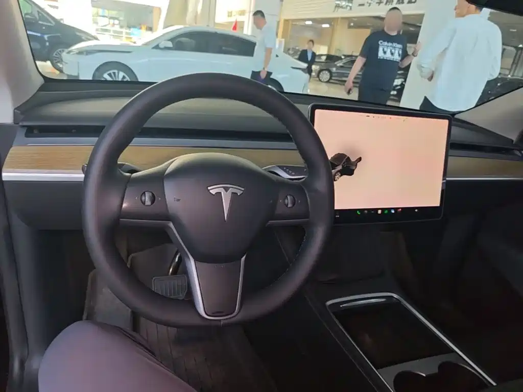 Tesla Model Y — миниатюра 10