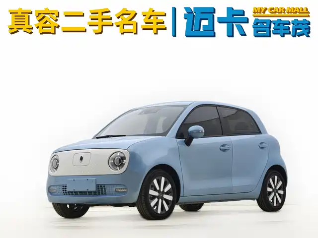 EULER BLACK CAT 2019